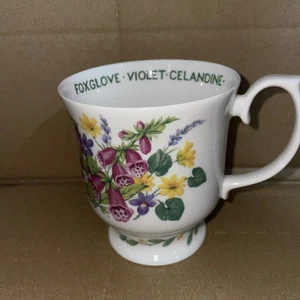 Taza china Roy Kirkham Herbs n' Spices 1997 amapola guante de zorro violeta celidonia 9,5 cm - Imagen 1 de 10