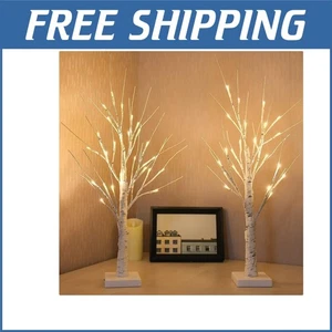 Pre-Lit Birch Tabletop Trees - 2FT Warm White LED Centerpieces for All Seasons - Picture 1 of 8