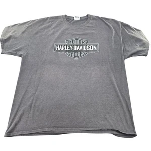 Camiseta Harley-Davidson Cycles Gráfica Hanes Beefy-T Gris Motociclista Camiseta - Imagen 1 de 7