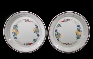 Corning Corelle Abundance Set of Two 10 1/4" Dinner Plates - Picture 1 of 10
