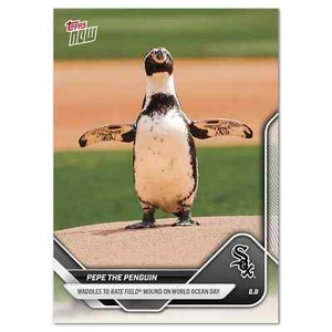 MLB Topps Now #276 2025 Pepe the Penguin Chicago White Sox - EN MANO - Imagen 1 de 1