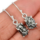 Natural Meteorite Campo Del Cielo 925 Sterling Silver Earrings Jewelry Ce25616