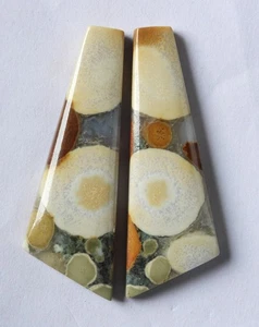 62.15 Ct Natural Cobra Jasper (47mm X 16mm each) Cabochon Loose Match Pair - Picture 1 of 3