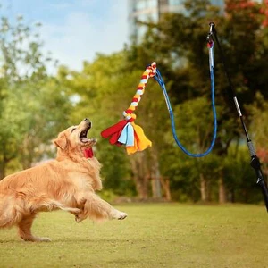 Flirt Pole for Dogs Large Breed Long Dog Teaser Wand for Exercise Training - Picture 1 of 9