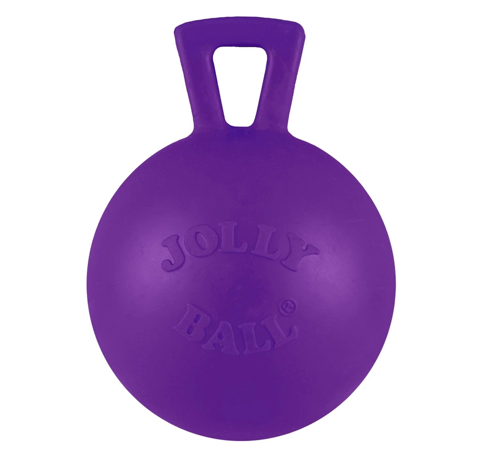 Jolly Pets Tug-n-Toss Heavy Duty Dog Toy Ball with Handle, 4 Inches/Petite, - Image 1 of 1