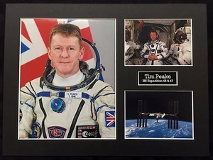 SPACE Tim PEAKE 16 x 12 Montaje F, Astronauta Británico ESA ISS EXPLORACIÓN 46/47 - Imagen 1 de 1