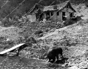 crp-52929 1925 circus elephant playing in the river silent film The Great Love c - Picture 1 of 1