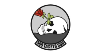 4" air force 509th tactical fighter squadron bumper sticker decal usa made - Picture 1 of 1