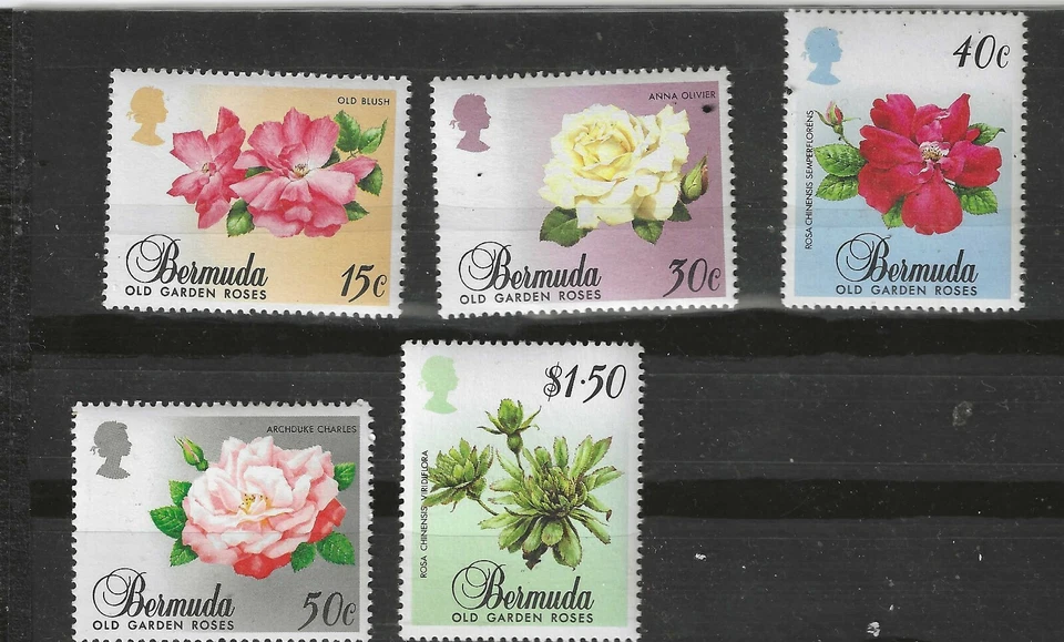 百慕大......#536-540。  玫瑰   全新无标签,全新状态。    — 第 1/1 张图片