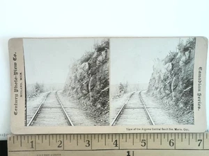 Algoma Ferrovia Centrale Sault Ste. Marie Ontario Stereoview Canada antico 1890 - Foto 1 di 2