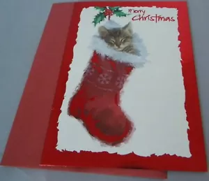 16Cnt Kitten In Stocking Foil Box Christmas Cards 5 x 7 - Picture 1 of 1