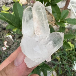 65g Natural Clear White Quartz Crystal Cluster Energy Healing Specimen - Picture 1 of 9