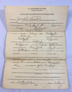 ANTIK 1908 'Antrag auf Ankunftsbescheinigung', 'Einbürgerungsurkunde' Dokument - Bild 1 von 7