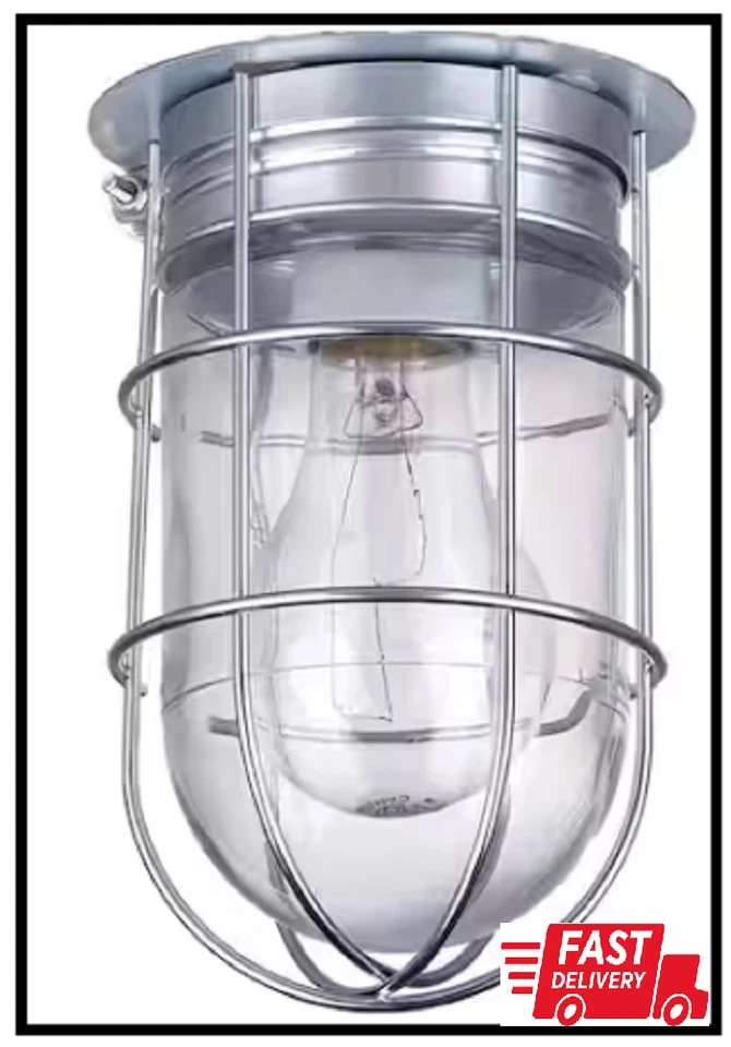 All Weather 1-Light Pewter Outdoor Ceiling Mount with Clear Glass - Изображение 1 из 1