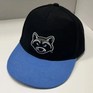Hudson Valley Renegades Hat Black Pro Minor Leagues Adjustable Great Condition - Picture 1 of 5