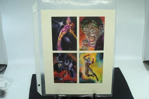 Skybox DC Master Series 8 X 10 Sheet Rare Promo 1994 Joker/Lobo,PLUS - Picture 1 of 9