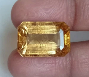 33.26 Cts Natural Hessonite Garnet Octagon Shape Loose Gemstone Certified - Imagen 1 de 7