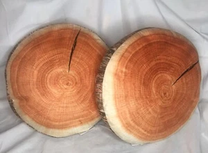 Target Bullseye's Playground Set Of 2 Log Plush Pillows Brown 11"x11" New!! - Picture 1 of 10