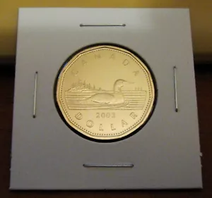 Canada 2003w Prooflike Loonie One $1 Dollar Loon New Effigy W Mint Mark 2003 - Picture 1 of 2