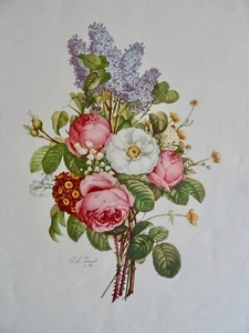 jEAN LOUIS PROVOST BOTANISCHES BLUMENKUNST POSTER SIDNEY LUCAS NYC VINTAGE neocurio - Bild 1 von 12