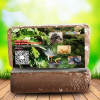 Natürlicher Kokos Kokos basierter Pilz locker wachsen Boden Pet Terrarium