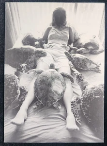 Woman with Sea Turtles in Bed By Arthur Tress 1977 A Robert Samuel Card ©1980 - Picture 1 of 6