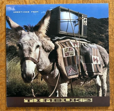 Timbuk 3 - Greetings from Timbuk 3 - Original MINT Promo - Unplayed Foto 1 de 3