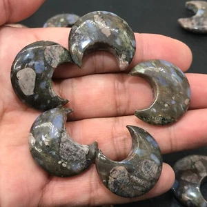 5 Stück Natürlicher Rhyolith Mond Quarz Kristall Schädel Reiki Heil Edelsteine - Bild 1 von 8