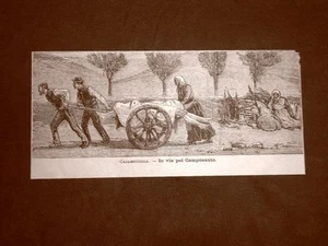 Il terremoto di Casamicciola nel 1881 Via per Camposanto Isola d'Ischia Campania - Bild 1 von 1
