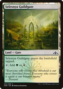 Selesnya Guildgate #255 2x FOIL GRN MTG Guilds of Ravnica Common MINT land - Picture 1 of 1