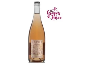 PALTRINIERI RADICE VINO FRIZZANTE LAMBRUSCO DI SORBARA DOC EMILIA ROMAGNA - Foto 1 di 1