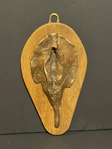 Curiosa vagin en bronze moulage érotique sexe féminin érotisme XXème vulve - Imagen 1 de 4