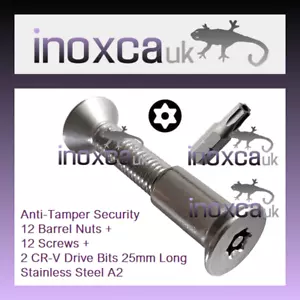 12 M6 X 40 TORX PIN CSK SCHRAUBEN + LAUFMUTTERN + 2 BITS TX30 PIN EDELSTAHL A2 - Bild 1 von 1