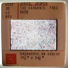 Jaspr Johns "The Barber's Tree" 1975 Art 35mm Glass Slide