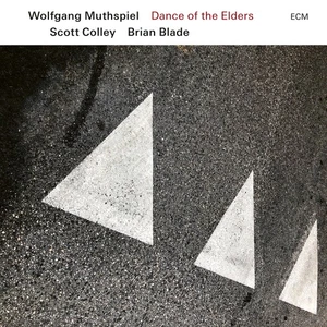 Wolfgang Muthspiel, Scott Colley & Brian Blade Dance of the Elders (CD) Album - Picture 1 of 1