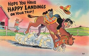 "Hope You Have Happy Landings on Your Trip" Man on Horse Humor PC - Imagen 1 de 2