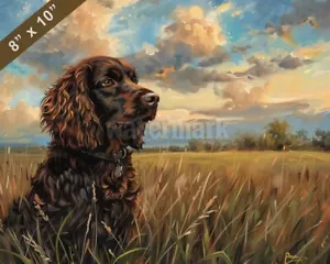 Boykin Spaniel painting in a peaceful field 8x10 Print - Picture 1 of 1