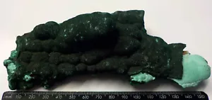 BOTRYOIDAL NATURAL MALACHITE CRYSTAL KASOMPE MINE 155mm 410g CONGO AFRICA fj42 - Foto 1 di 1