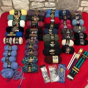 (45) All Lion Brand Garn verschiedene Linien & Farben plus extra Stricknadeln NEU - Bild 1 von 13