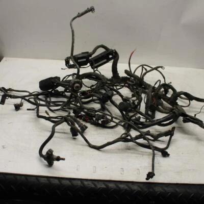 07-13 BMW R1200GS ADVENTURE ARNÉS CABLEADO MOTOR TELAR BB368 Foto 1 de 4