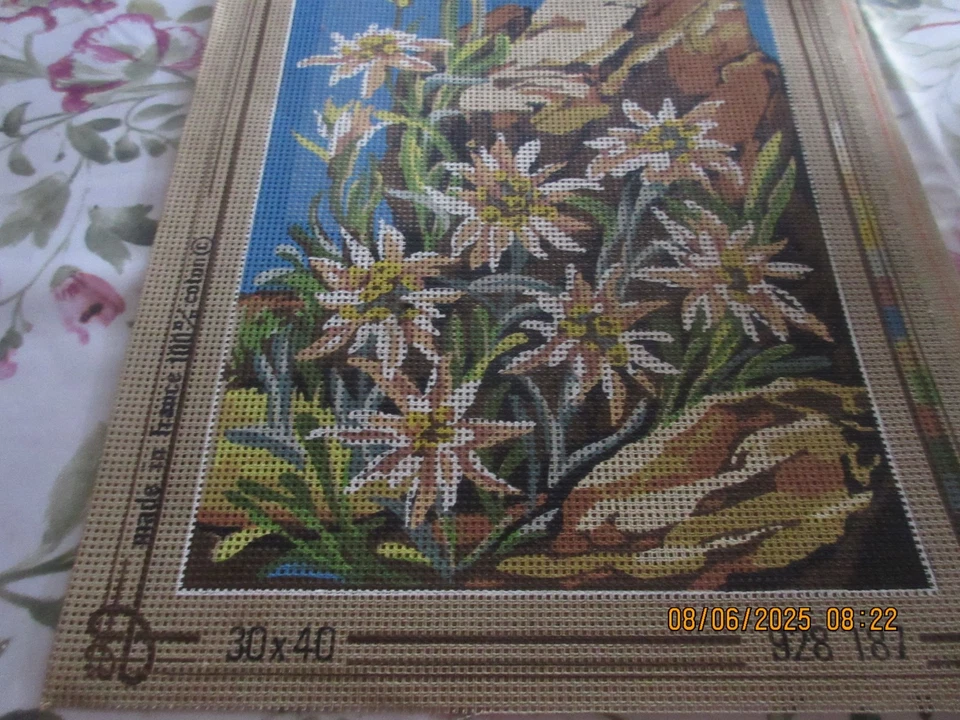 canavas a broder - Photo 1/1