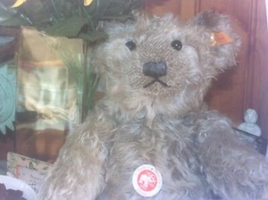 New Postcard Advertising STEIFF German Teddy Bear Toy by Eye catcher Design - Picture 1 of 4