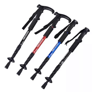 Outdoor Hiking Nordic Walking Sticks Walking Pole Trekking Pole - Picture 1 of 9