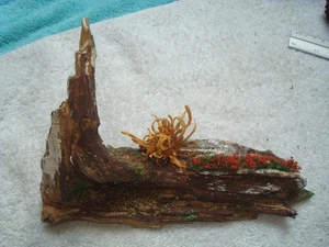  Spur N verkaufe Baumstamm Abbruch mit Blumenstrang /gebraucht ! - Bild 1 von 3