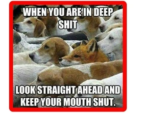 Funny Beagle  Dog & Fox  Refrigerator  / Tool Box Magnet / Gift Card Insert - Picture 1 of 1