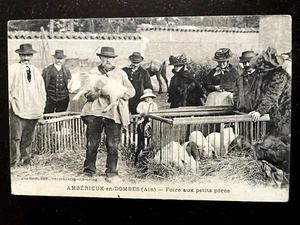 AMBÉRIEUX-EN-DOMBES (AIN) - FOIRE AUX PETITS PORCS - CARTE POSTALE CHAMBION ÉDIT - Picture 1 of 2