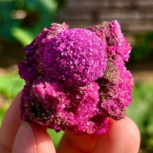 45G Indian dandelion zeolite Quartz Crystal Cluster Mineral Specimen - Picture 1 of 16