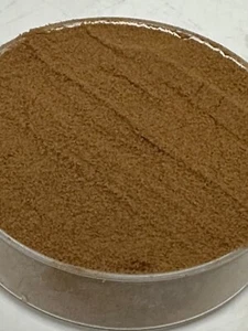 Pygeum Bark 30:1 Extract Powder. Origin: Southern Africa - Picture 1 of 1