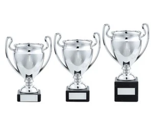 Silver Trophy Cup - FREE ENGRAVING - All Sports Awards , Competition Awards - Picture 1 of 4
