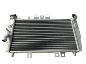 Para Triumph Speed Triple 955i 2002 2003 Radiador de carreras de aluminio plateado - Imagen 1 de 6